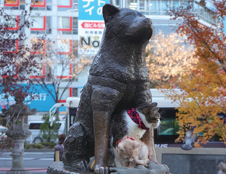 내 취향에 맞는 도쿄 여행지는? 도쿄 구역별 매력 소개